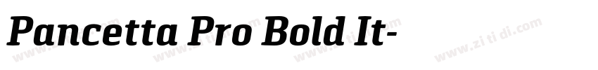 Pancetta Pro Bold It字体转换